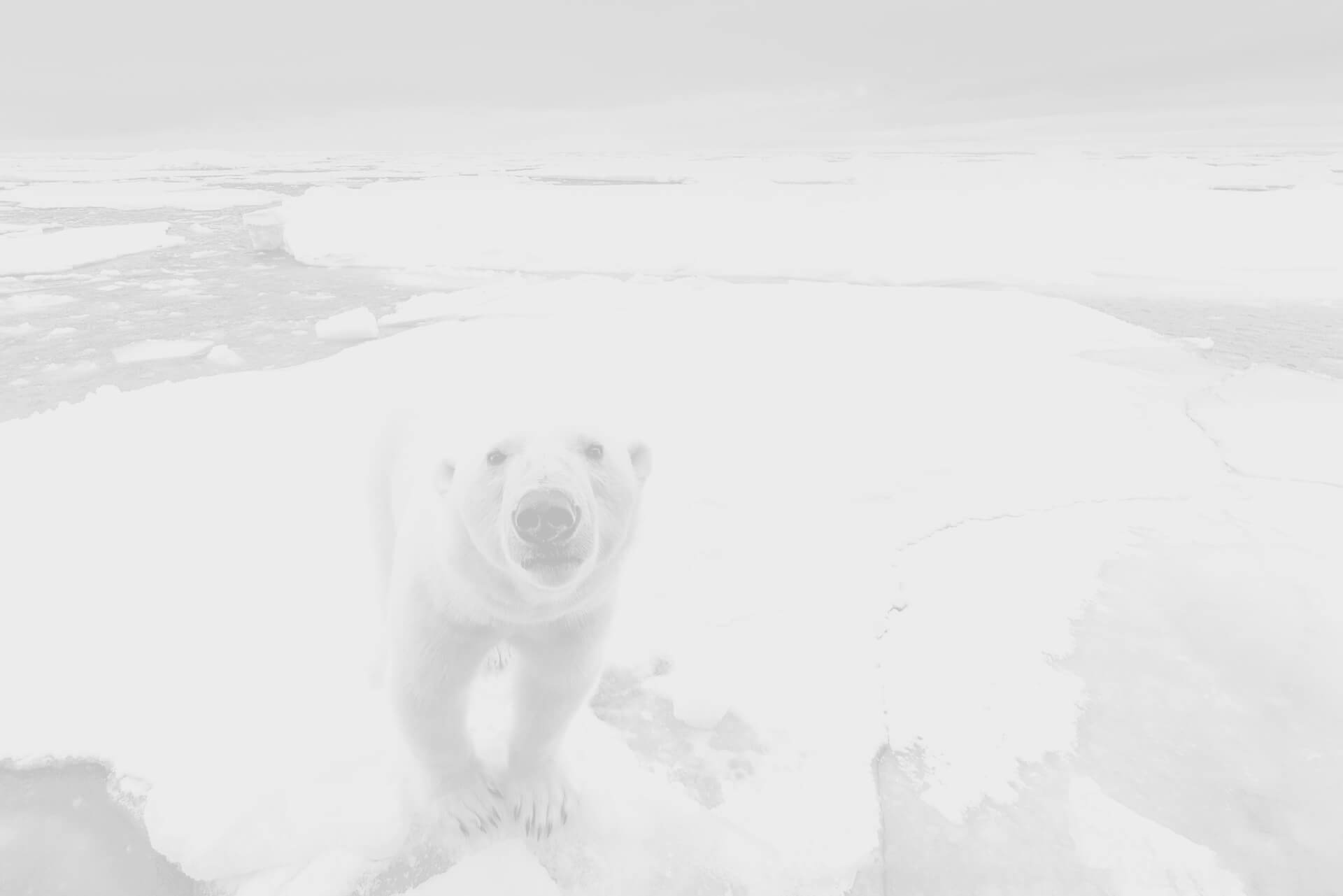 PolarBank